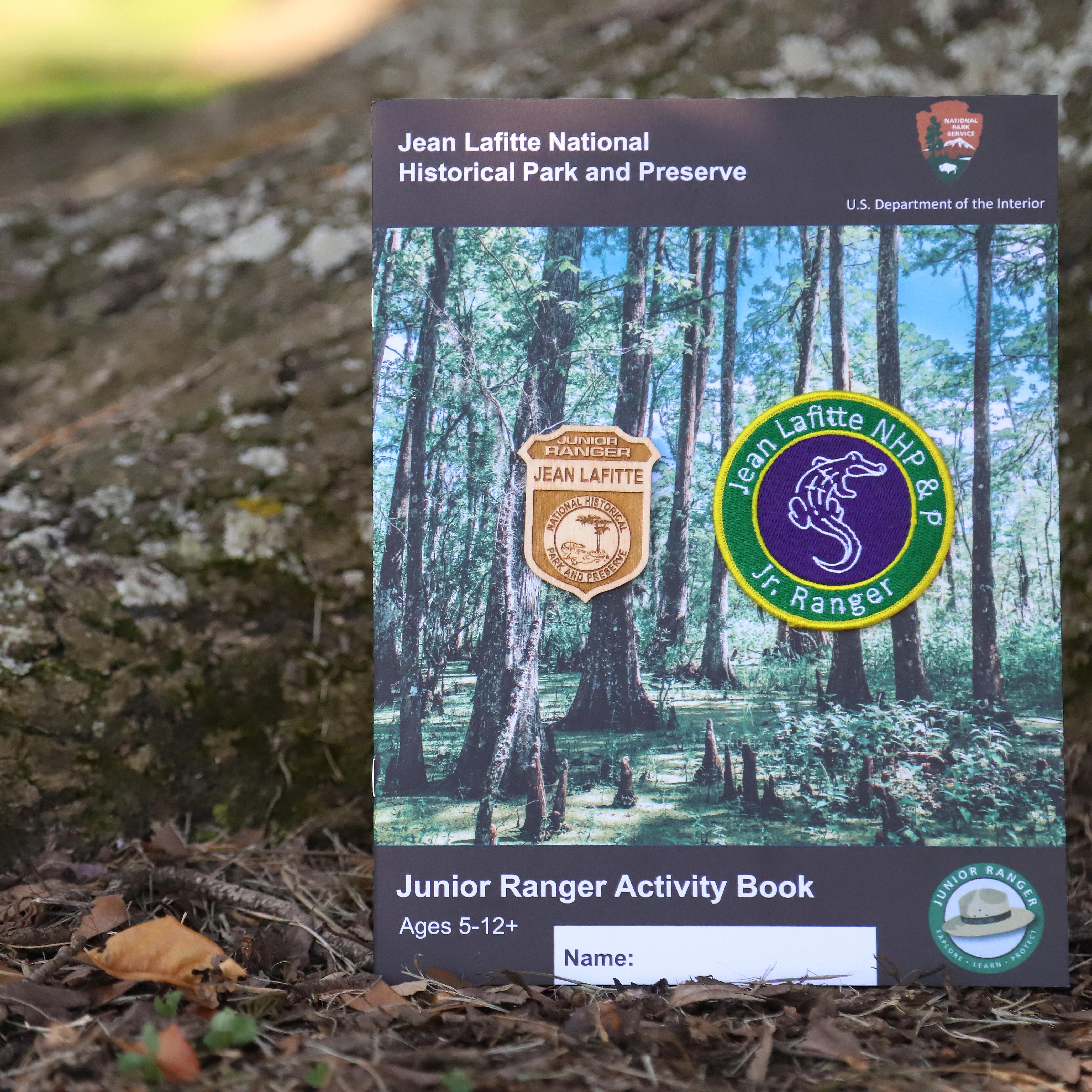 A wooden badge, patch, and booklet perched against the base of a tree.