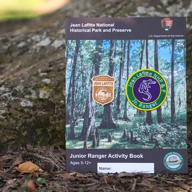 A wooden badge, patch, and booklet perched against the base of a tree.