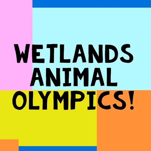 big colorful squares and the words “Wetlands Animal Olympics”