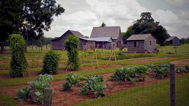 Boyhood Farm