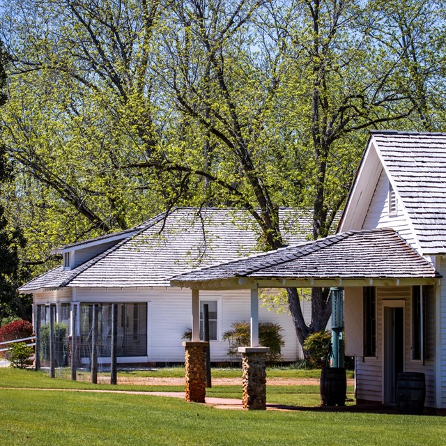 Exploring the animals, buildings, and landscapes that tell Plains' story.