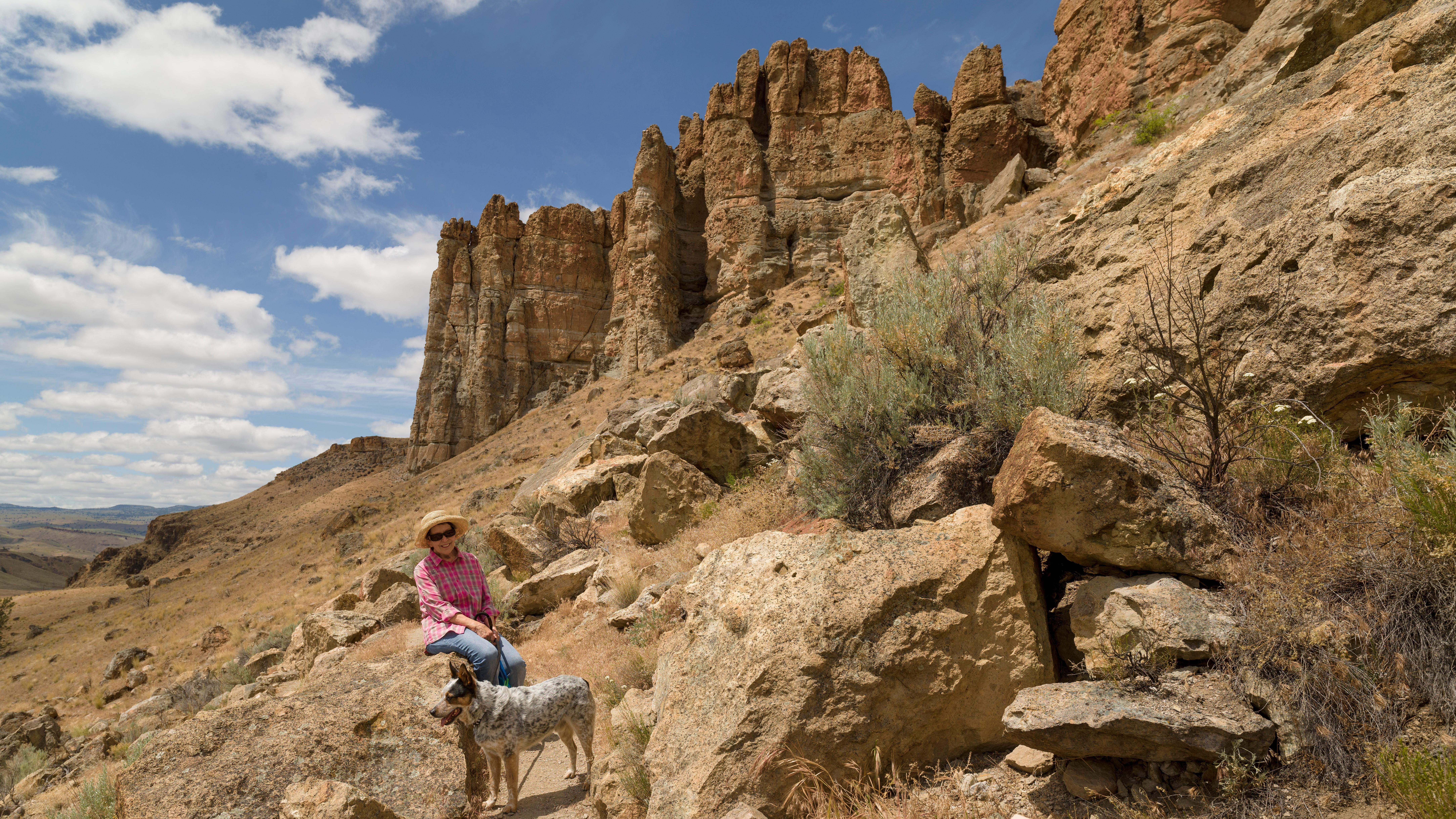 Clarno is the best place for fossils in situ.