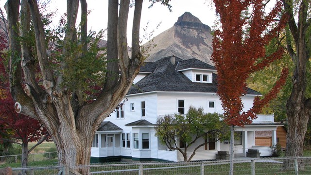 A white two-story house with trees with green and red leaves. Behind is a pyramid-shaped mountain.