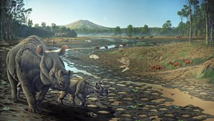 A bend in a river deposited a large concentration of mammals 40 million years ago.