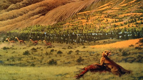 Welcome to the semiarid wooded shrubland with giant sloths and saber toothed felines.