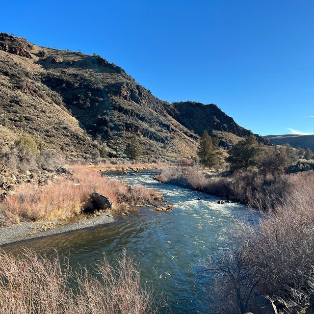 A river flowing alongside a grassy basalt formation with plants and trees hugging the river's edge.