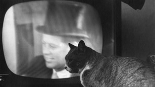 A cat sits in front of a television with John F. Kennedy's image displayed. Black and White. 