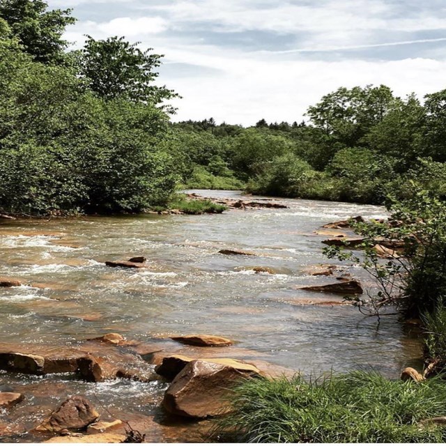 A view of the South Fork of the Little Conemaugh