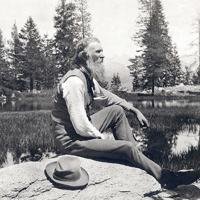 A senior man with a long beard is sitting on a rock, his hat at his side. Trees and water. 
