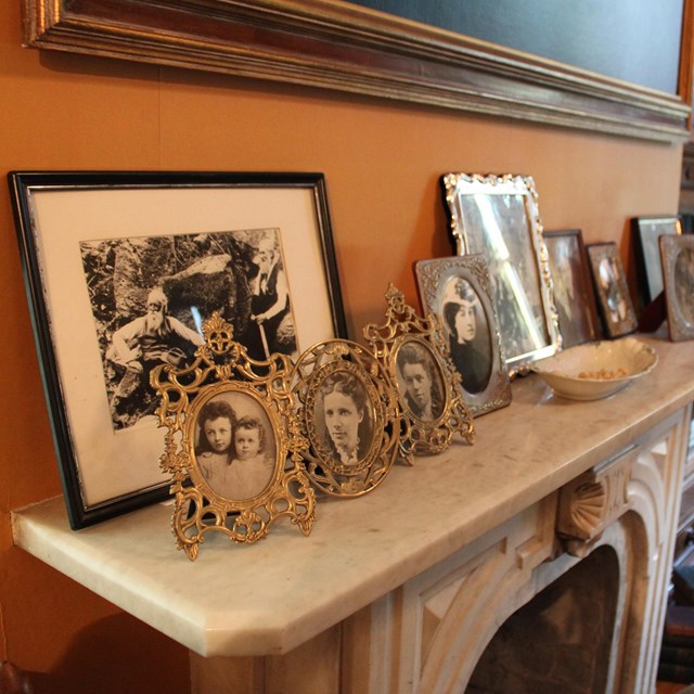 Photos and Multimedia