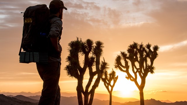 a hiker wearing a large backpack looks towards the horizon at a colorful sunset