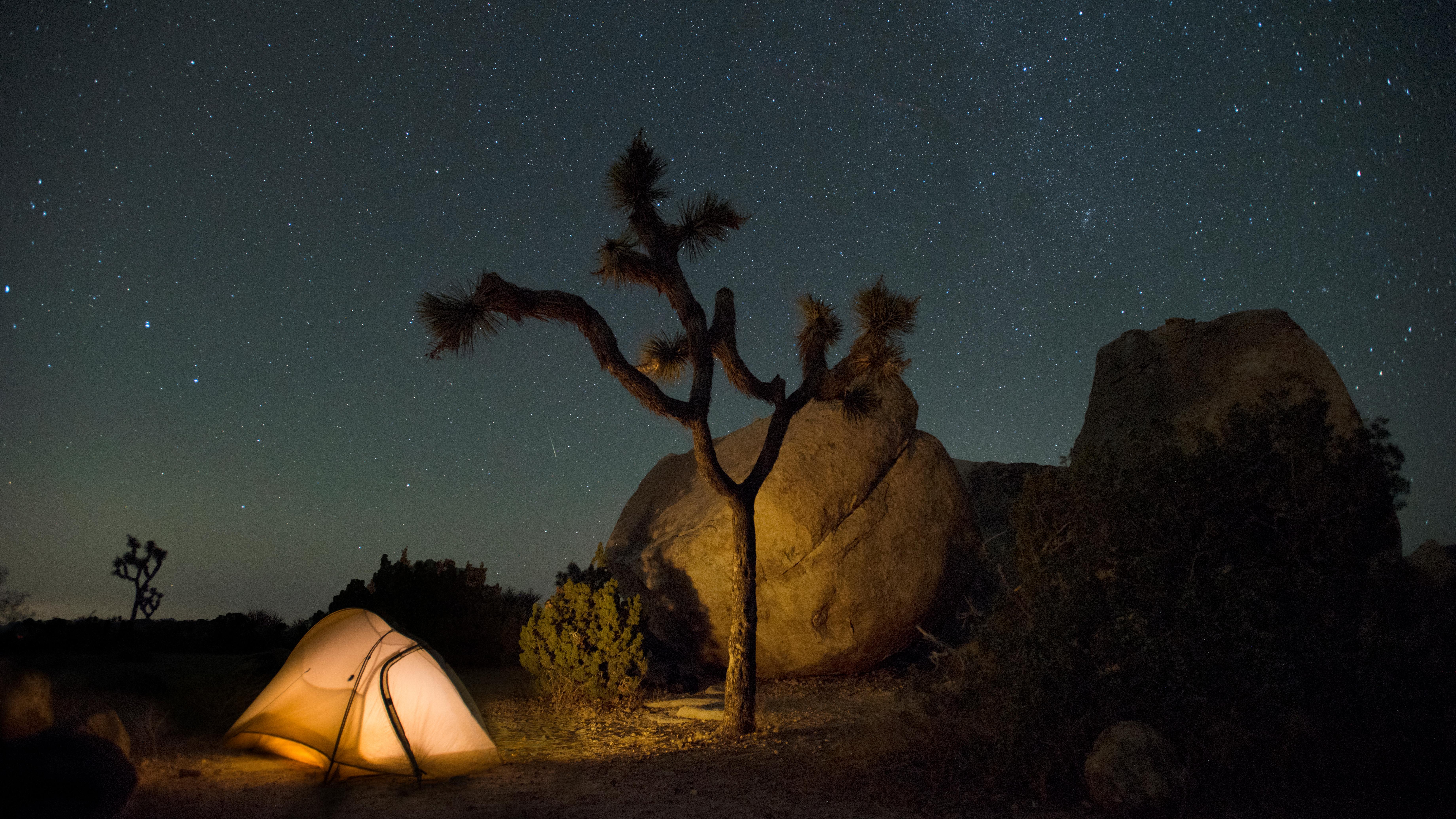 Color photo taken at night with a tent, Joshua tree, and night sky. NPS / Hannah Schwalbe