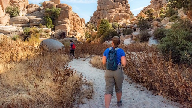 Two hikers on a trail surrounded by vegetation and rocks