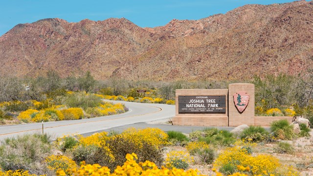 A sign that says, "entering Joshua Tree National Park" with yellow flowers, mountains, and blue sky.