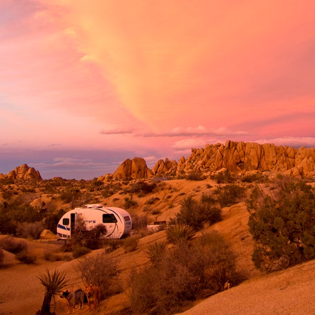 Camper trailer at Jumbo Rocks Campground.