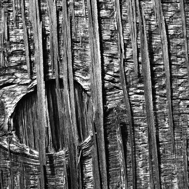 Black-and-white photo of wood grain at close proximity.