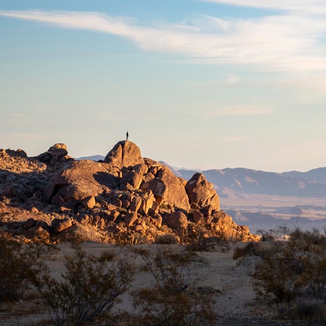 A hiker on top of a boulder looking out over a vast desert landscape