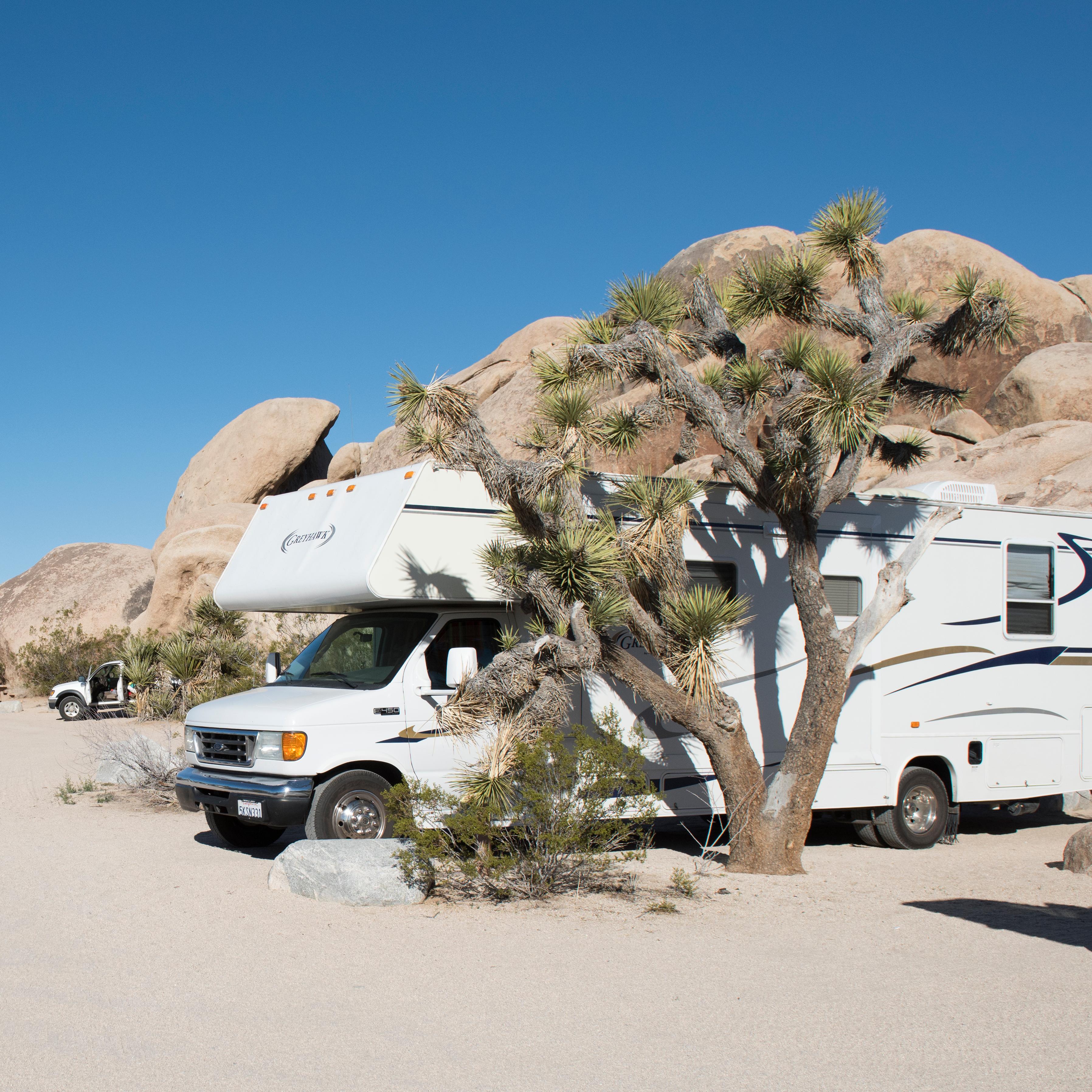 Color photo of RVs in sites at Belle Campground with rock formations and Joshua trees nearby.