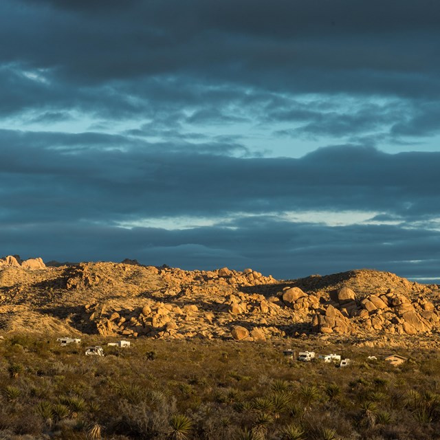 Color photo of evening light on Cottonwood Campground by NPS / Kurt Moses.