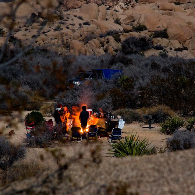 Color photo of people standing around a campfire with a guitar. NPS / Brad Sutton