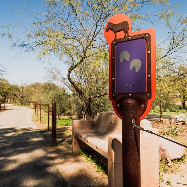 A paved walkway is lined with a guide wire and tactile signs with braille