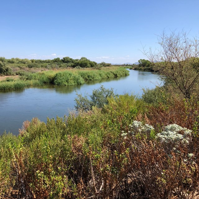 A wide river winds through dense green vegetation