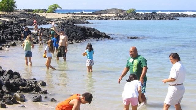 Visitors of all ages enjoying ocean water on the beach