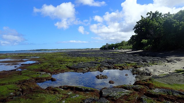 Tide pools along the park coast