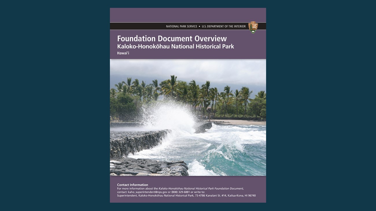 Front page of the Foundation Document Overview