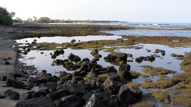 Tidepools on the ocean coast