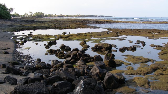 Tidepools on the ocean coast