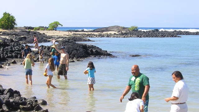 Group of swimmers at the beach