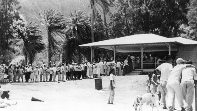 people having a picnic