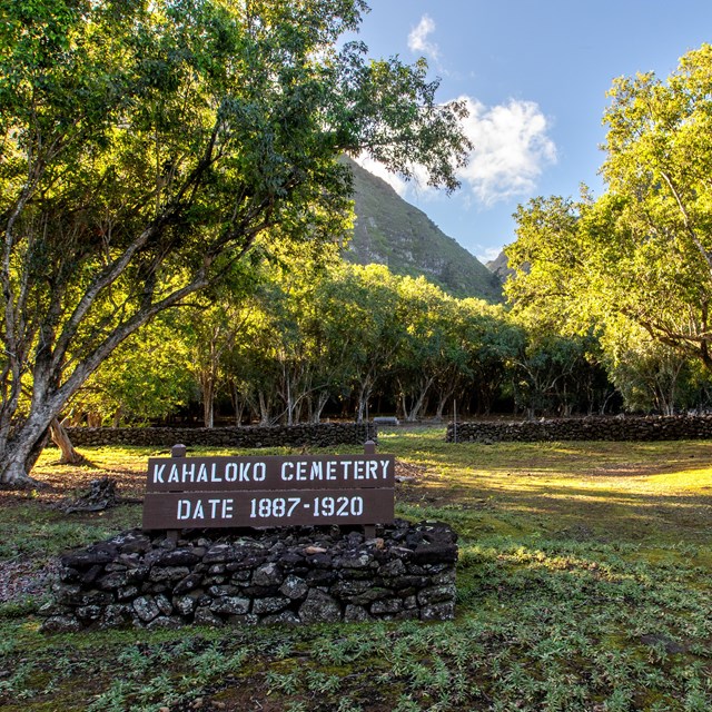 A wooden sign reads Kahaloko Cemetery, Date 1887 to 1920
