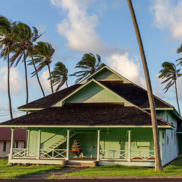 A mint green building with a black roof surrounded by palms trees. 