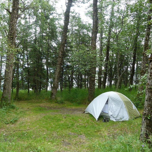 a tent sits in on a grassy area surrounded by trees