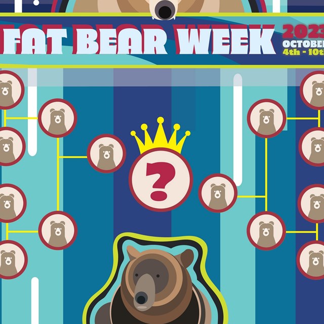 a colorful bracket filled with cartoons of bears reading, 