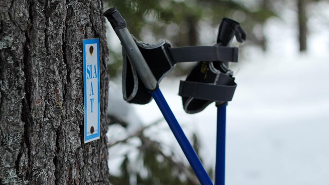 A close up of hiking equipment and a small rectangular IAT sign fixed on the trunk of a tree.