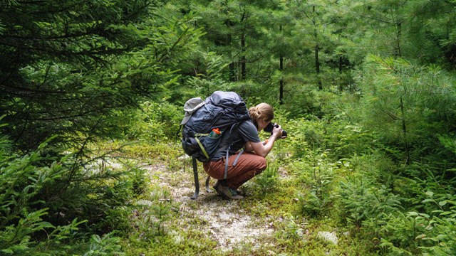 A hiker on a gravel trail kneels down to take a photo in the shaded green woods.