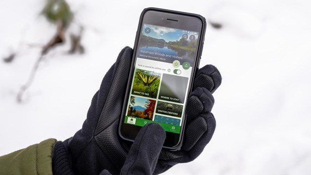 A close up photo of a person's hands navigating a smartphone with the NPS App opened.