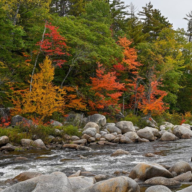 Riverbed with rocks and fall colors surrounding the water.