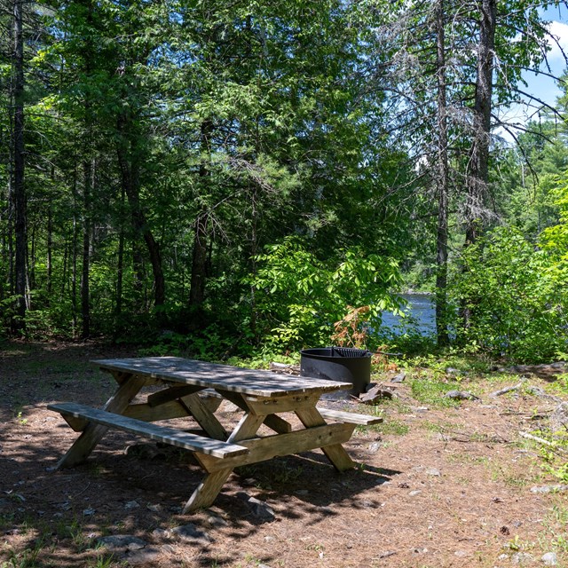 A primitive campsite with a picnic table and metal fire ring next to a river.