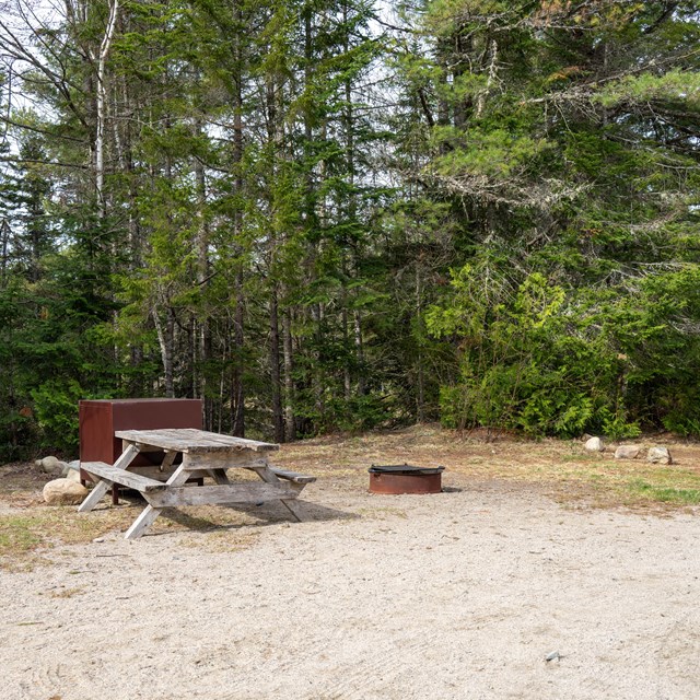 A gravel campsite with a picnic table, metal food box, and metal fire ring next to mixed woods.