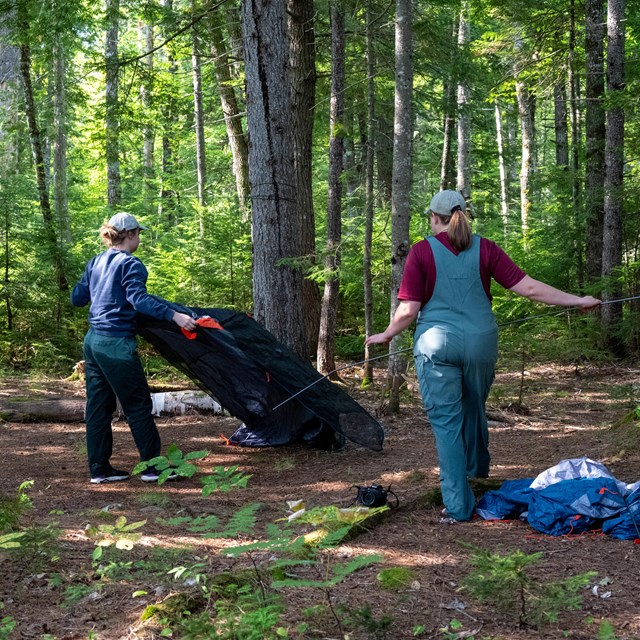 Two campers setting up a tent at a shaded primitive campground.