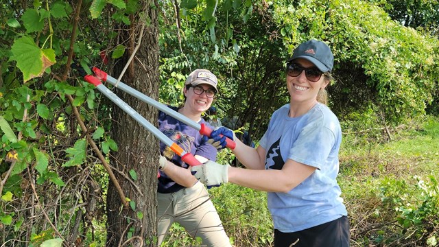 Two people standing with loppers by a tree.