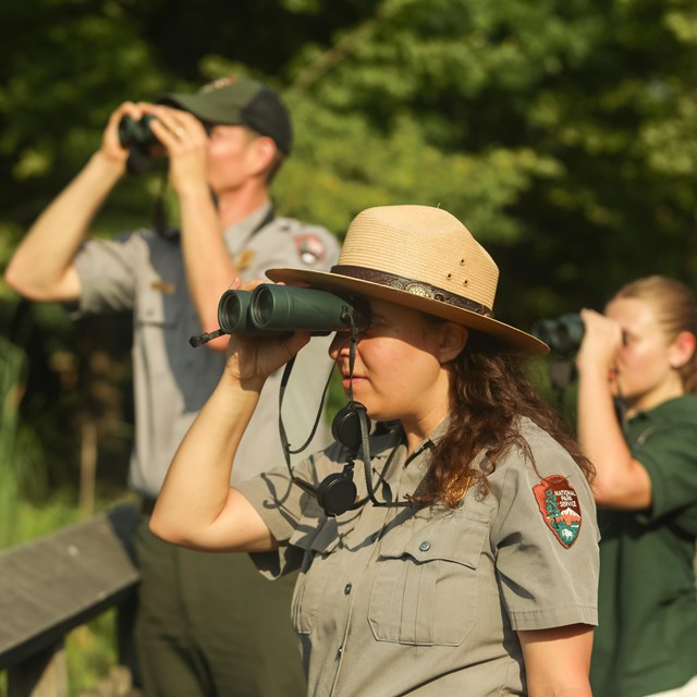Two park rangers and a visitor look through binoculars.