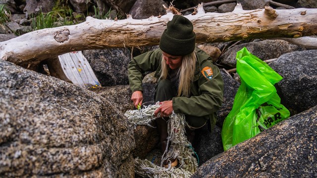 A park ranger cuts marine debris rope on the coast