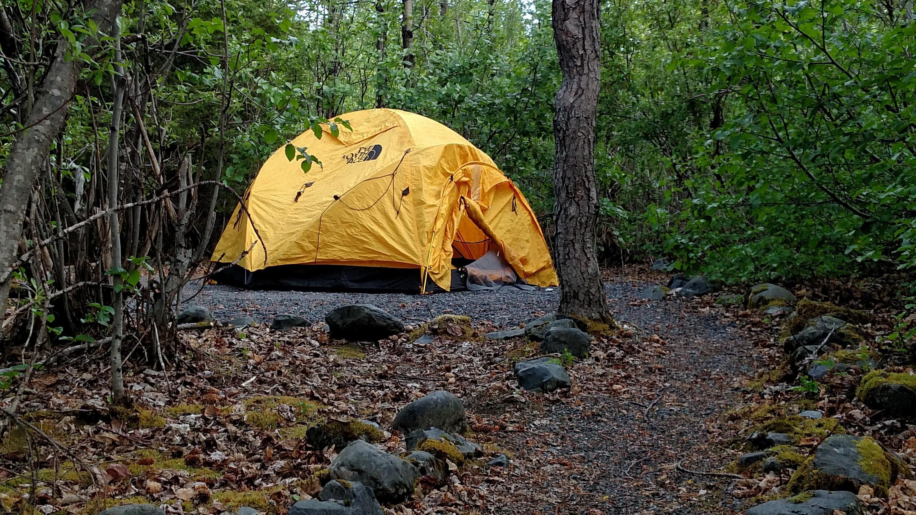 A tent on a campground amongst trees