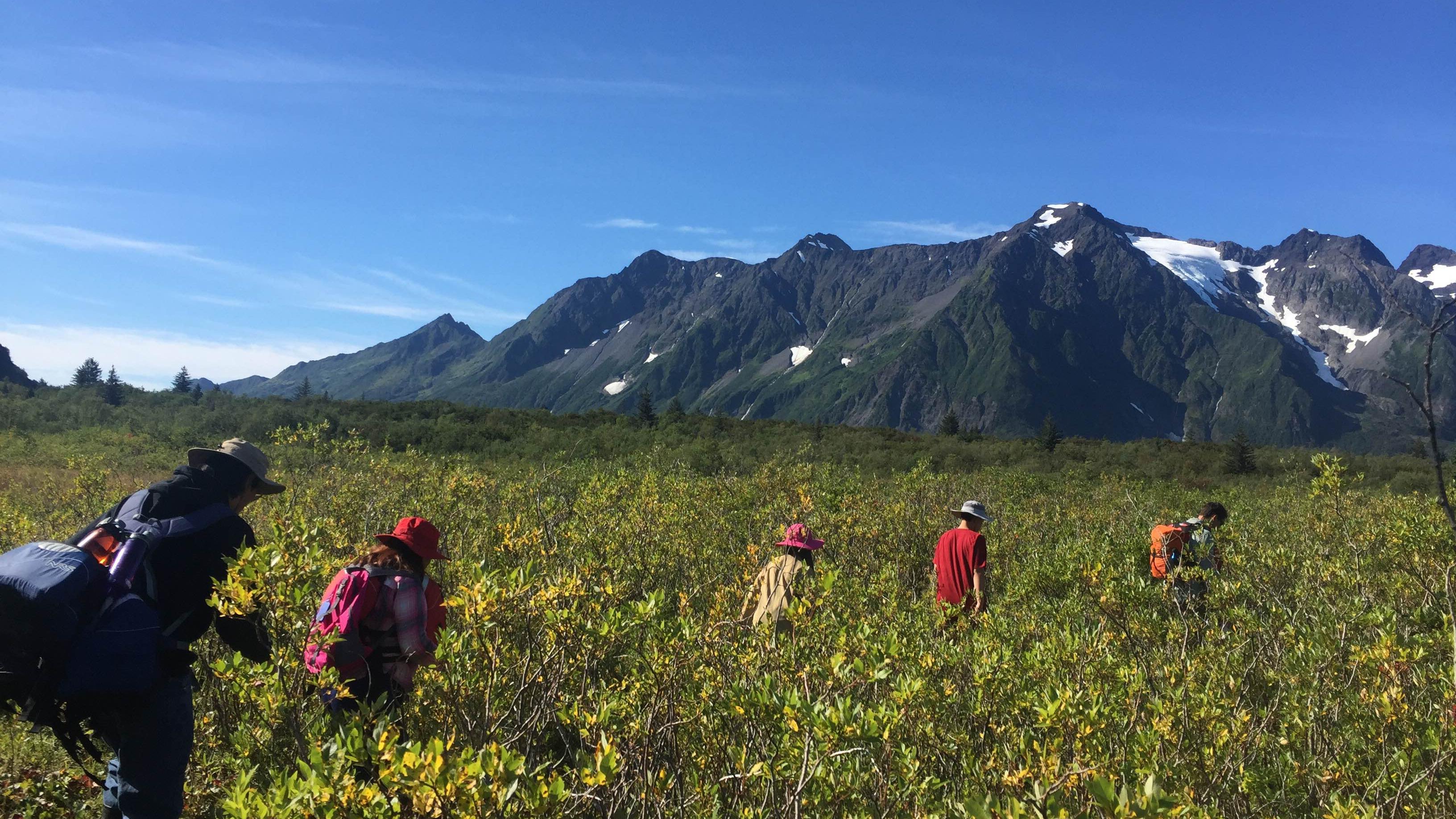 A group walks through brush with mountains beyond