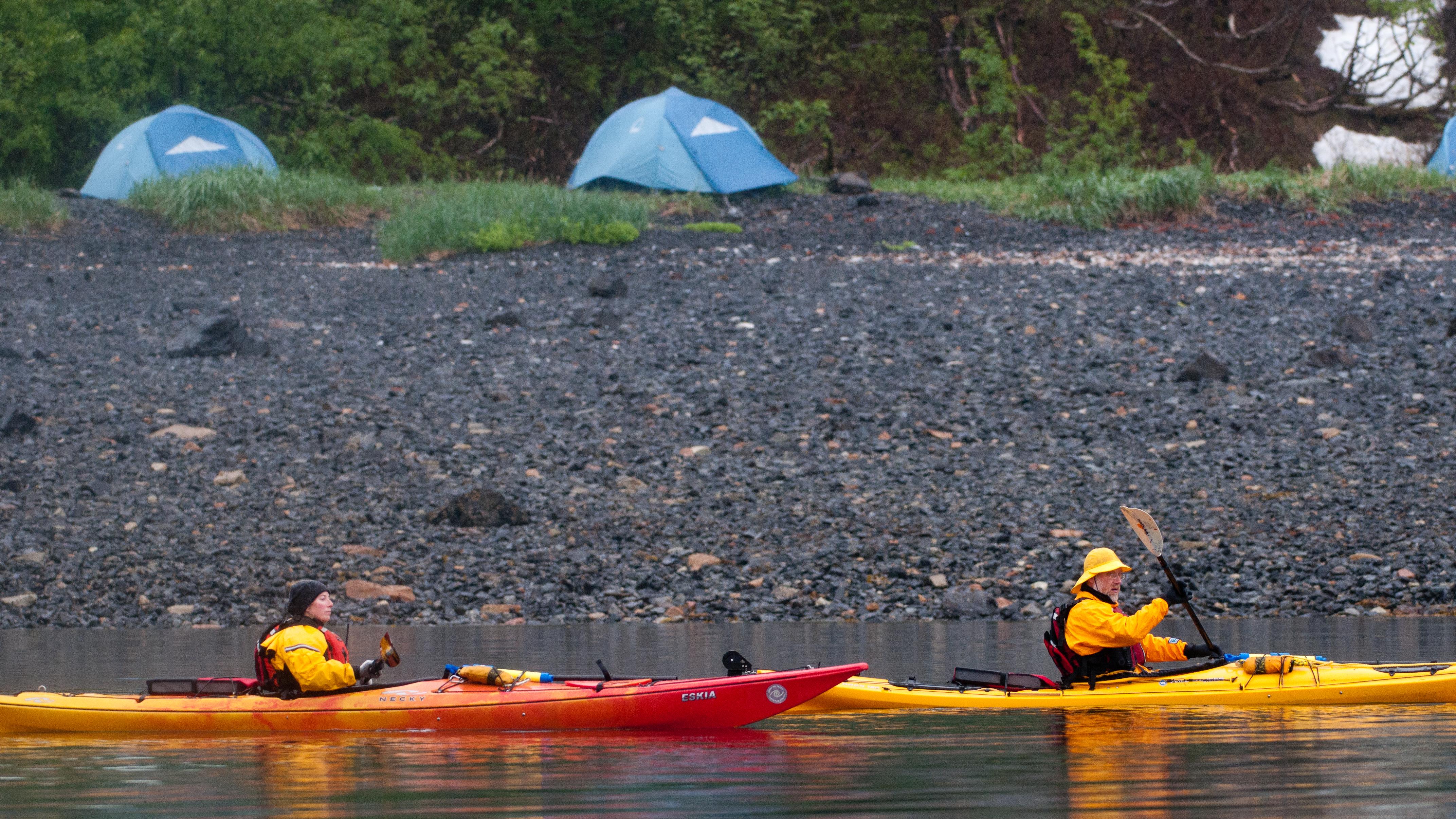 Two kayakers paddle in front of a beach with tents